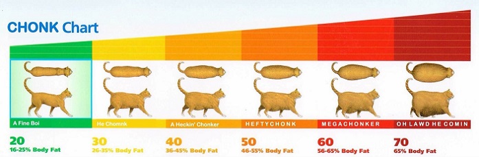 Chonk Chart