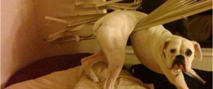 Ok, well there is SOME resemblance...